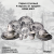 92-0404 Столовый набор на 4 персоны 21 предмет, Claytan, декор ROME GREY