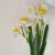 90893 Искусственный цветок 30см, AltFlowers, декор "Нарциссы", силикон, микс 90893 Искусственный цветок 30см, AltFlowers, декор "Нарциссы", силикон, микс