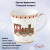 EL-R1101/EXPR Кружка фарфоровая 275мл, Easy Life, декор "Полярный экспресс" EL-R1101/EXPR Кружка фарфоровая 275мл, Easy Life, декор "Полярный экспресс"