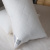Подушка BioMais 50*70см Подушка BioMais 50*70см