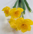 90893 Искусственный цветок 30см, AltFlowers, декор "Нарциссы", силикон, микс 90893 Искусственный цветок 30см, AltFlowers, декор "Нарциссы", силикон, микс