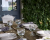Чаша-салатник 13 см, COSTA NOVA, серия White, керамика, JS131-WHT(JS131-00201Z)) Чаша-салатник 13 см, COSTA NOVA, серия White, керамика, JS131-WHT(JS131-00201Z))